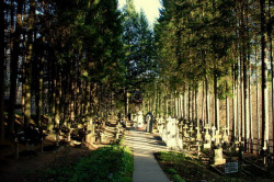 elenna 
† Cimitirul Sihăstriei † 
2011-02-07 11:18:34