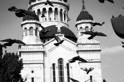 ioana23 
 
2011-02-11 12:23:47