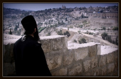 flor 
Towards Jerusalem 
118 
2011-02-11 20:19:09