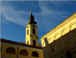 toza 
Ново Хопово 5 
2011-02-12 11:24:31