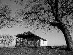 sepia 
 
2011-02-12 21:42:48