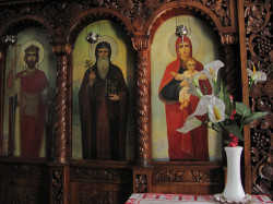waniia 
Цветя за тези, които предстоят пред Божия престол и изп 
2011-02-14 11:34:38