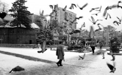 SorinDanut 
zbor 
2011-02-18 11:05:50