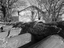 sepia 
 
2011-02-18 22:49:19