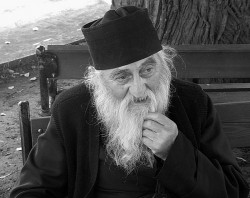 AleksaSrbin 
отац Сава 
114 
2011-02-18 23:22:52