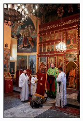 hmiodrag 
Čitanje jevanjdjelja 
2011-02-23 23:58:24