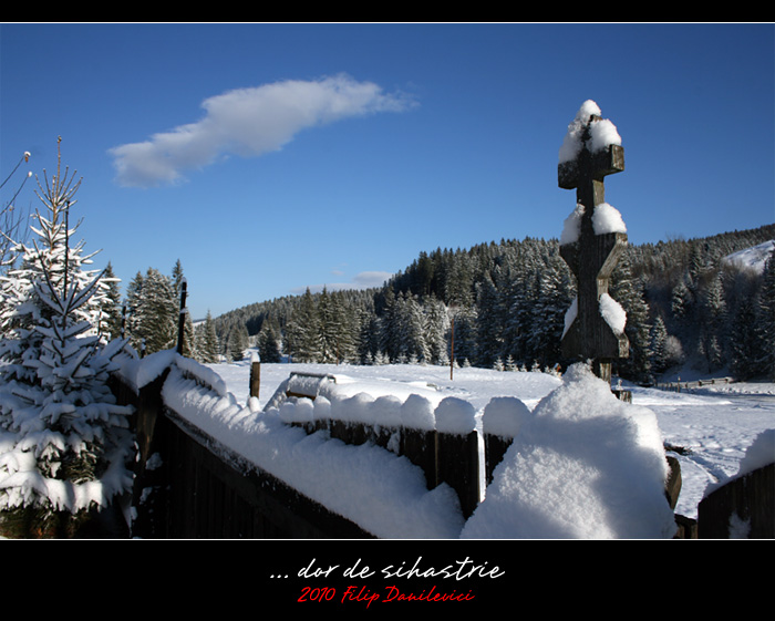 dor de sihastrie...