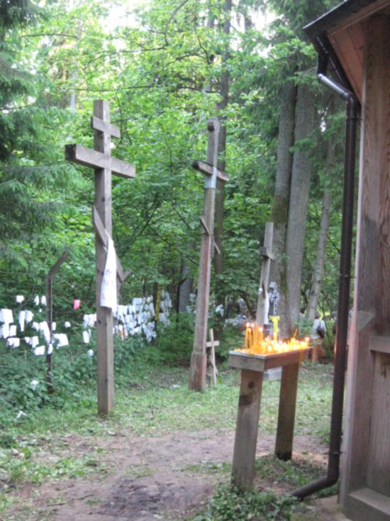 Krynoczka  8.06.2009