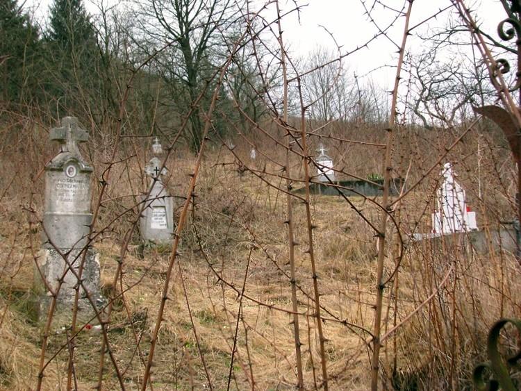 In vechiul cimitir