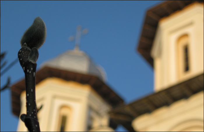 Primavara