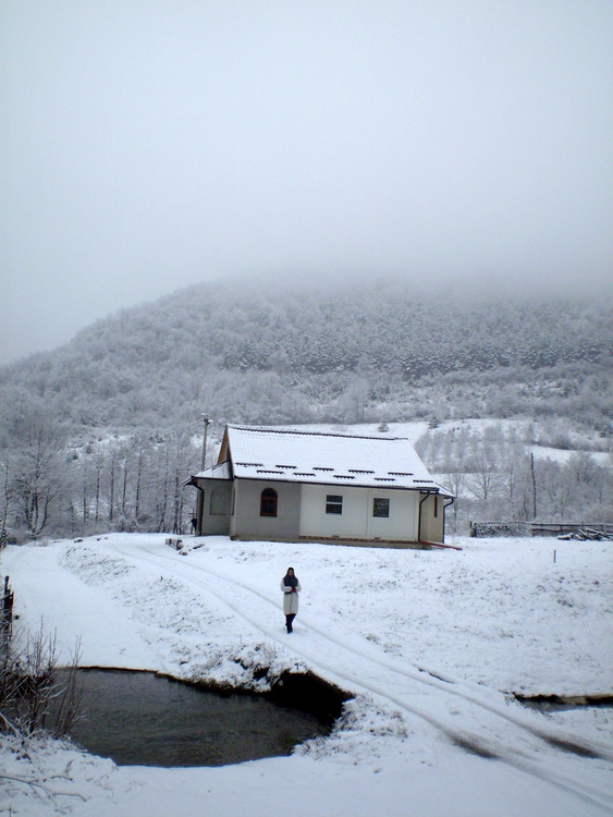 SVETOARHANGELSKI MANASTIR - TRESKAVAC