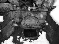 sepia 
 
2011-03-09 16:31:35