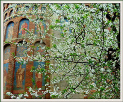 elenna 
~ Adiere de primăvară ~ 
2011-03-10 14:26:34