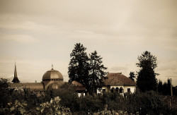 Daniel 
Jercălăi Monastery 
2011-03-13 10:29:27