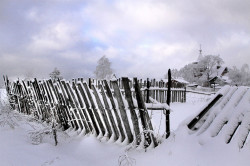 Eshtokin 
Вот и закончилась зима 
2011-03-14 10:34:04