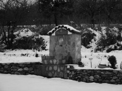 sepia 
 
2011-03-15 17:51:39