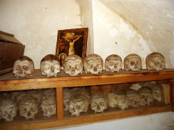Daniel 
memento mori... 
2011-03-18 15:32:18