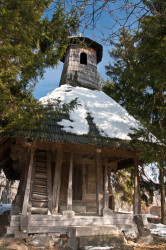 calugaru 
PISTESTII DIN DEAL,  2011 
2011-03-20 16:12:49