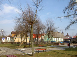 zinka2 
Już prawie wiosna 
2011-03-21 17:12:47