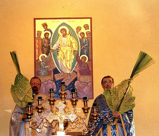 PLEASE post pictures of Palms, Pussywillows, and Pascha baskets.