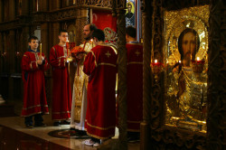 mladen_tomic 
Велики опход 
2011-04-14 15:43:35