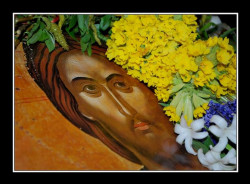 Timothey 
Цветя за Христа 
130 
2011-04-17 19:00:44