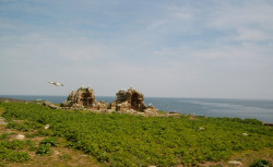 Diyana 
Манастир "Св. Йоан Предтеча" 
2011-04-18 14:07:50