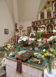 Kola-Krynica 
Крениця 
2011-04-23 18:05:59