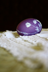 teodoraa 
... 
2011-04-25 16:46:49