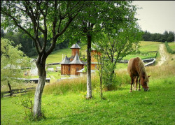 elenna 
~ Oaza de linişte ~ 
2011-04-28 14:04:42