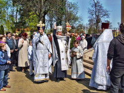 szolucha.w 
Wielkanocna procesja 
2011-04-29 07:45:01