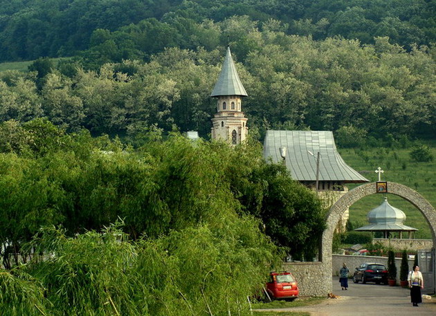 Mănăstirea Vlădiceni