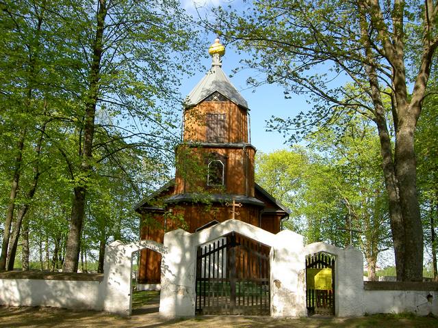 Zagubiona wśród drzew