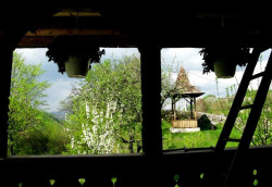 cristiangeorge 
Minunate sunt lucrurile Tale, Doamne! 
2011-05-08 20:32:36