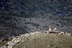 Bokica74 
Hercegovina 
2011-05-12 21:33:30