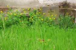 plamka_r 
*** IC XC + NI KA *** 
2011-05-13 19:03:13