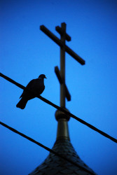 Pit_Zsak_79 
+++ 
2011-05-23 13:34:11