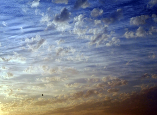 Flight toward Sunrise
