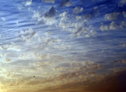 Cristiana 
Flight toward Sunrise 
2011-06-02 21:59:58