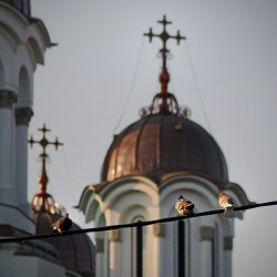 ovidiu_m 
 
2011-06-22 16:13:53
