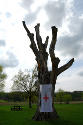 Novakovic 
КРСТ И ЗВОНА НАД СРБИЈОМ---Cross and the bells tone up of Serbia, 77 
2011-06-23 09:34:19