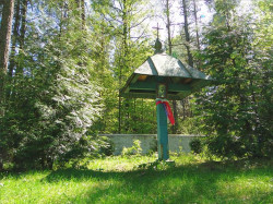 Aimilianos 
Koźliki nad Narwią 
2011-06-24 18:35:38
