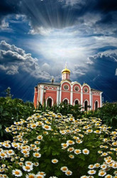 sas 
*** 
2011-06-29 06:27:40