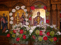 Diyana 
Храмов празник 
2011-06-30 09:10:15