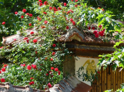 Damianka 
Angel and Roses on the gate to the Vrachesh Monastery "Forty Martyrs" 
96 
2011-07-02 14:57:37