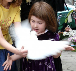 s.vladikov 
Гълъбче 
2011-07-04 09:33:13