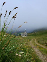 ketevanbd 
На високој гори ка Светом Илији 
2011-07-07 23:50:36