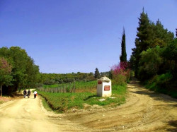 Nikolaj_BG 
 Agion Oros - Athos / Света Гора - Атон 
2011-07-16 22:30:27