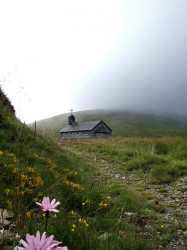 ketevanbd 
На високој гори ка Светом Илији 
2011-07-21 23:52:33
