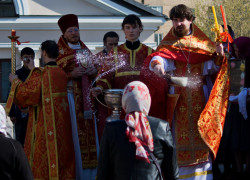 Kaktusik 
 
2011-07-24 14:44:32